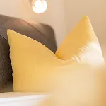 Apartment Scheibe